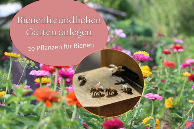 Luo mehiläisystävällinen puutarha