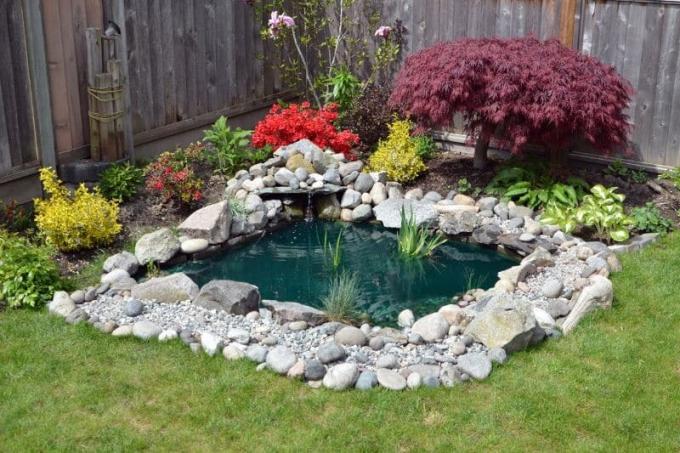 Na novo ustvarjen ribnik na vrtu