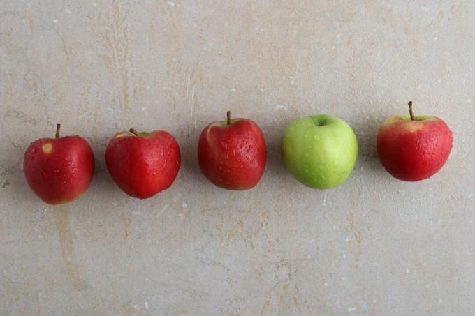 Různé druhy jablek vedle sebe
