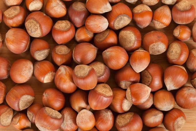 Lískové ořechy jsou zdrojem živin