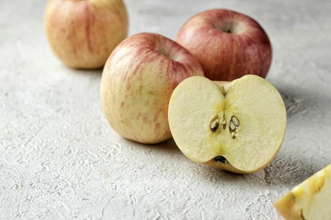 Fießers första äpplen