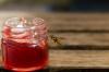 Yaban arılarına karşı bitkiler: Gerçekten ne yardımcı olur?
