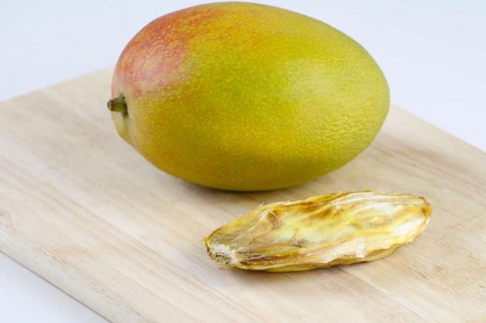 mango og mango sten