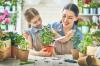 Evde çocuklarla bahçecilik: en iyi ipuçları