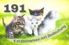 191 hermosos nombres de gatas con significado