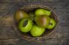 Good Luise: Waktu panen & rasa buah pir