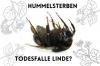 Linden tree death trap? Bumblebee deaths under linden trees