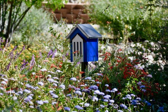 Μπλε σπίτι πεταλούδων στον κήπο