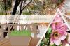 Vinterväxter till balkonglådor: 16 vackra vinterblommor till balkong