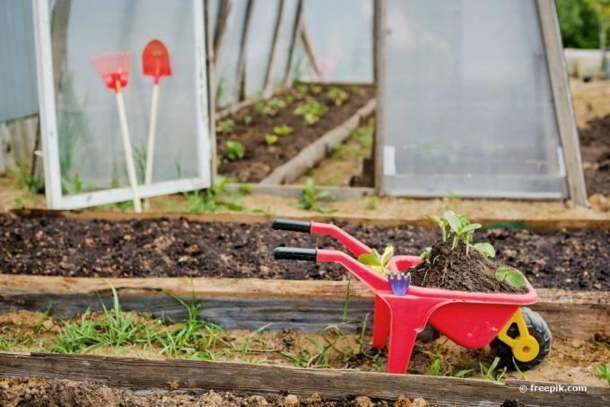 Regali per bambini attrezzi da giardinaggio