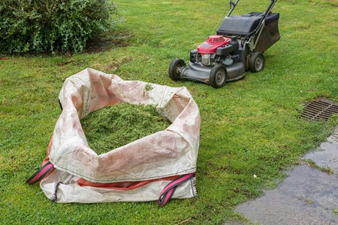 Mesin pemotong rumput dengan rumput