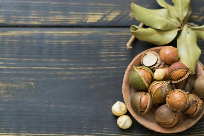 Nueces de macadamia con cáscara