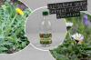 Acetic acid against weeds: how to use vinegar correctly