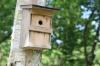 हैंगिंग नेस्ट बॉक्स: पक्षियों की 18 प्रजातियों के लिए आदर्श छेद का आकार