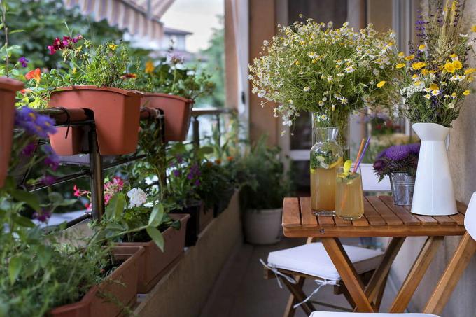 Balcon ombragé avec plantes