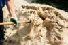 लॉन को रेतना: आगे बढ़ने के टिप्स और सही रेत