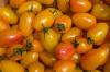 Tomat ˈBlushˈ: odling, skörd och smak