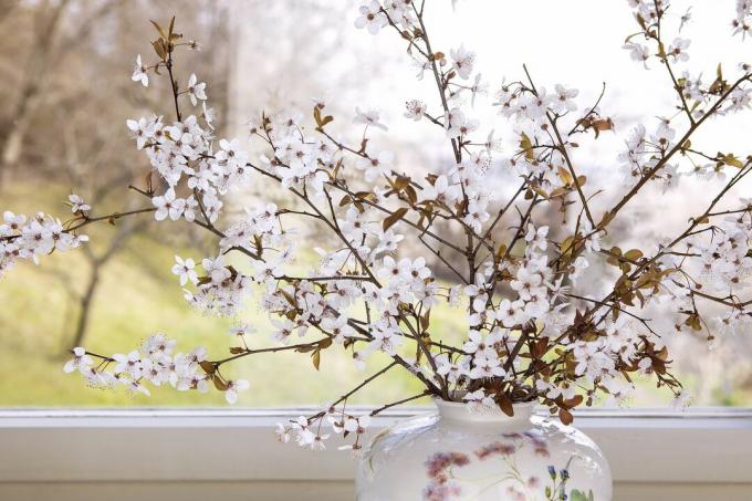 ramos floridos no peitoril da janela