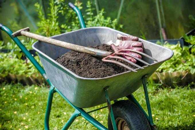 Compost in wheelbarrow with digging fork