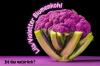 Purple cauliflower: is it natural?