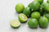 Lime: Planting & Caring for the Lime Tree