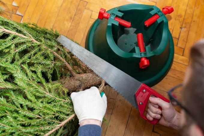 Izrežite sučelje božićnog drvca i stavite na postolje