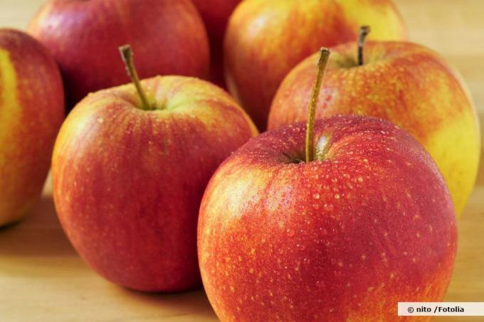 Braeburn to odmiana kwaśnych jabłek