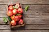 Prawidłowe zbieranie i przechowywanie jabłek: pomocne wskazówki