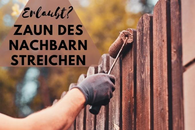 Puis-je peindre la clôture de mon voisin? - Photo de couverture