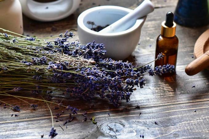 Siapkan minyak lavender dari bunga