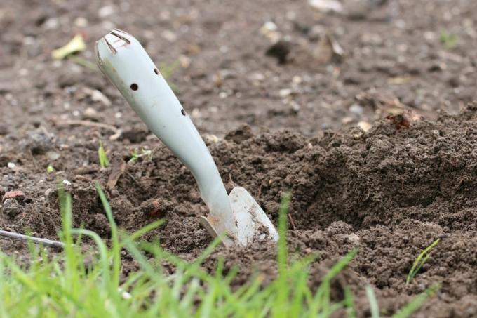 Fourche à creuser dans la terre du jardin