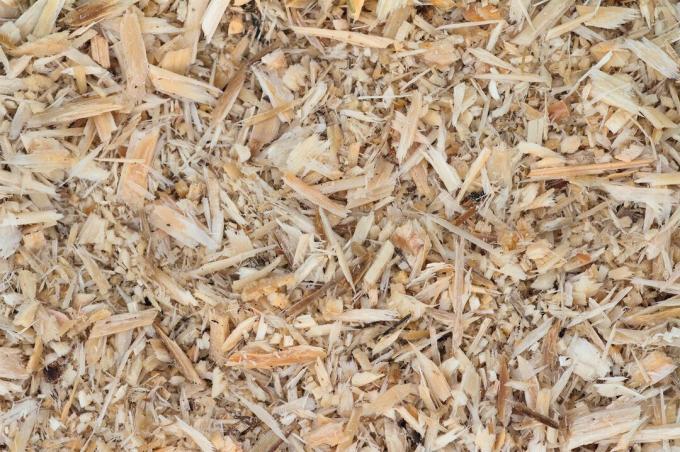 residui di legno tenero non trattato