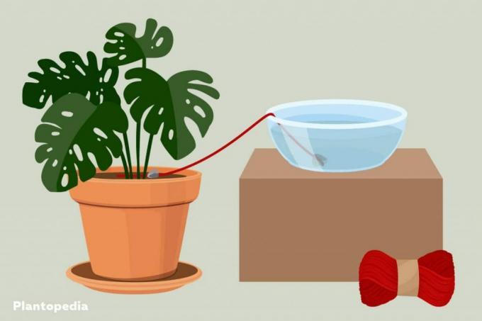 Vacation watering guide
