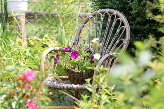 Zahradní židle v idylické zahradě