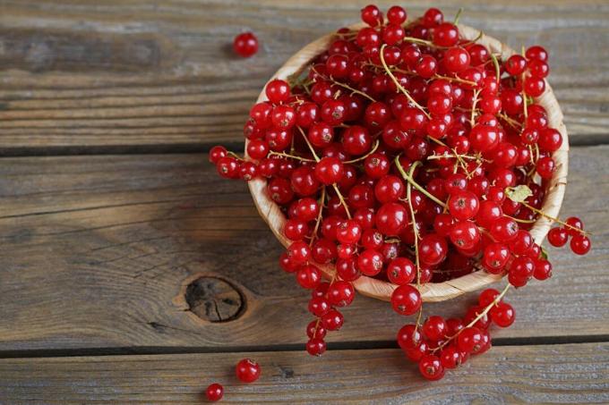 Red currants in wooden bowl on table