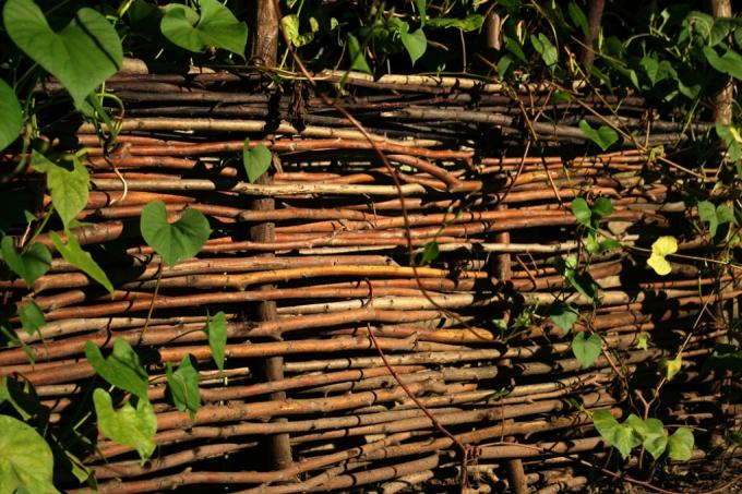 make-a-wicker-fence-willow-yourself