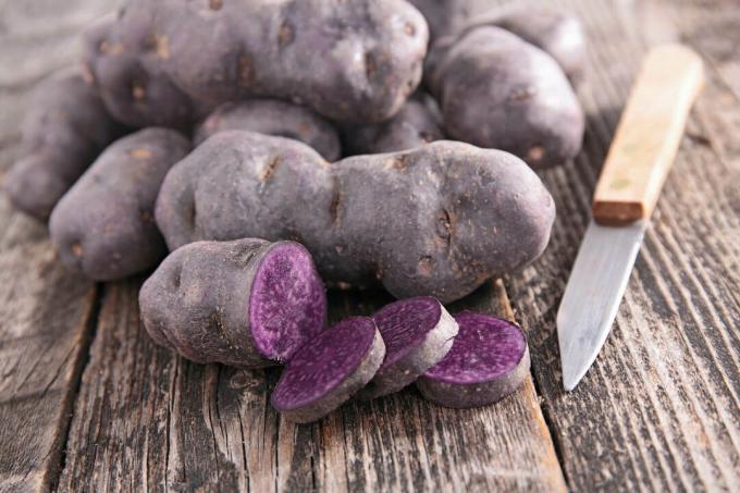 Spracovanie fialových zemiakov