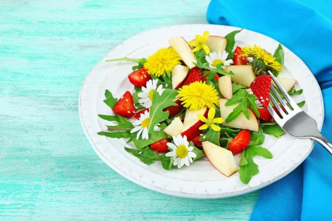 Salată de păpădie colorată cu frunze și flori 