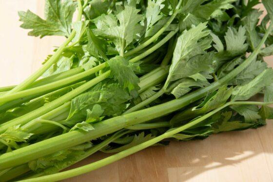 Seledri: Perbedaan celeriac, seledri potong dan seledri