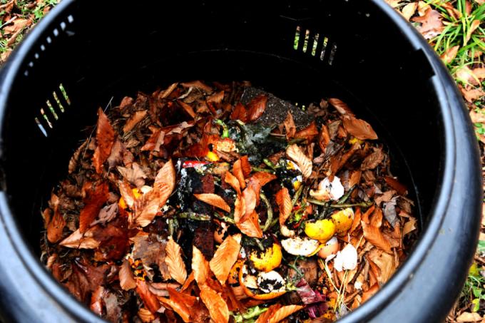 speed up composting of leaves