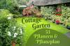 Mökin puutarha: 53 kasvia istutussuunnitelmalla
