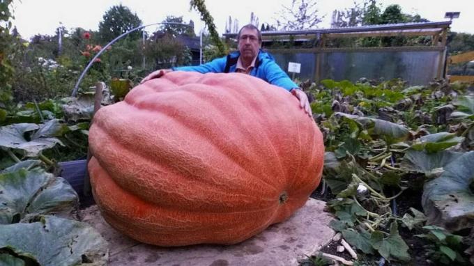 Udo Karkos gigantiska grönsaksodlare med jättepumpa
