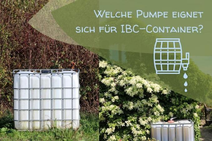 IBC container pumpe - titel