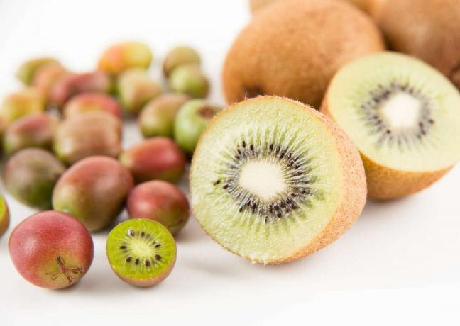 Kiwibær sammenlignet med den store kiwi