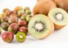 Kiwi mini: asal & budidaya buah kiwi