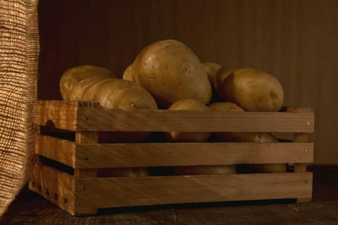 Armazenar batatas