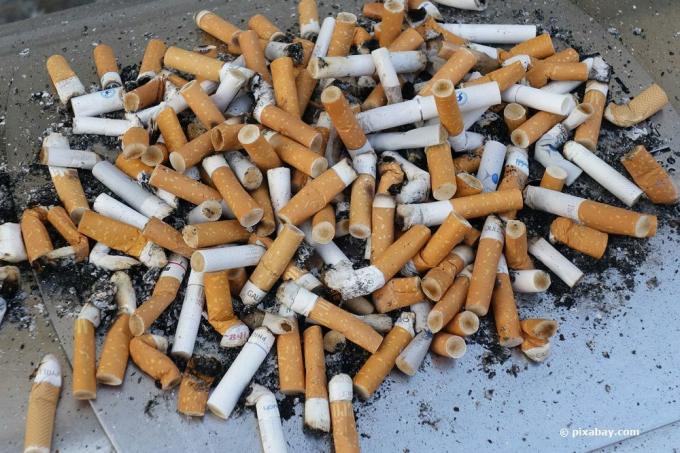 Les restes de cigarettes