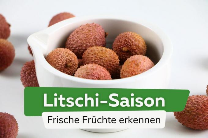Litchi sæson: hvornår kan du købe frugten?