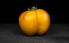 Tomato Varieties: The 60 Best Varieties