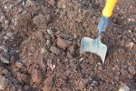 Soil improvement: tips for healthy soil - Plantura